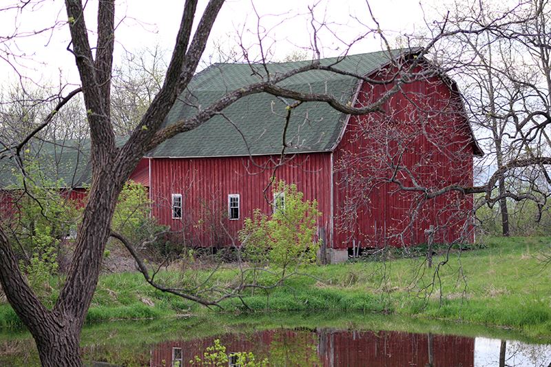 Taken by Pam Rutledge